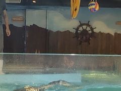 -萌宠奇缘(荣鼎店)