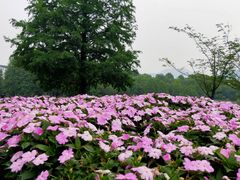 -浙江农林大学(东湖校区)