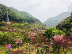 -四明山国家森林公园