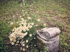 -亚历山大·涅夫斯基修道院