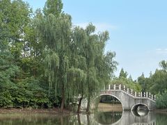 -尚贤河湿地
