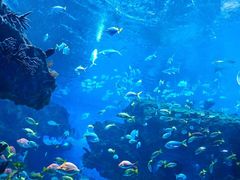 -海合安成都极地海洋公园