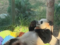 -大连森林动物园