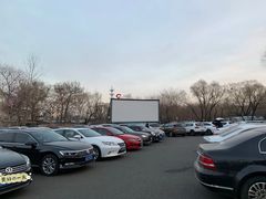 -枫花园汽车电影院(朝阳公园店)
