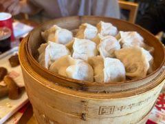 猪肉大葱-新兴园饺子馆(北京百子湾店)