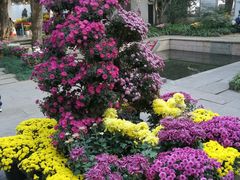 -杭州植物园