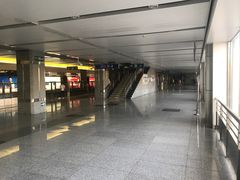 -望京西(地铁站)