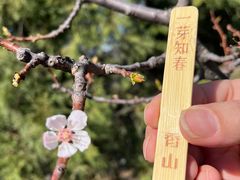 -香山公园