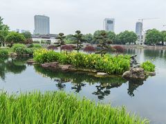 -月湖公园