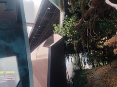 -武汉园博园(武汉自然博物馆)