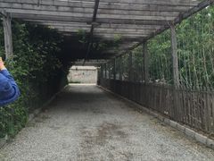 -大自然农场蔬菜草莓采摘园