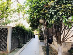 -老门东历史文化街区