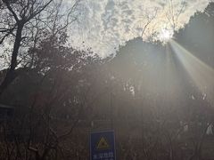 -金鸡湖桃花岛