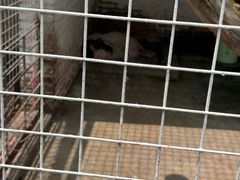 -金庭庄园酒店-停车场