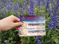 -玫瑰海岸文化旅游度假区