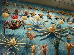 -抱抱地球咖啡馆(国家海洋博物馆店)