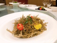 高山鹿角菜-富淳饭店(陆家嘴保利广场店)