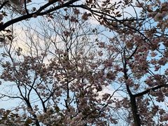 -黄兴公园