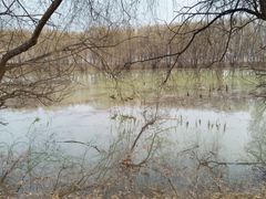 -长白岛森林公园