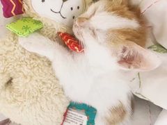 -宁波鄞州万达广场