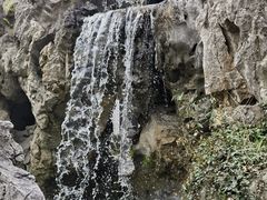 -檀园