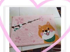 -名创优品(北京新中关购物中心地铁层店)