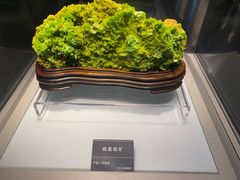 -安徽省地质博物馆