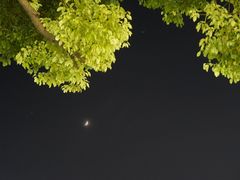 -浦鸿会尚莊亲子餐厅(碧云店)