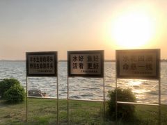 -丁香湖公园