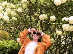 -铁山坪森林公园