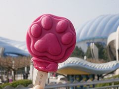 -上海迪士尼度假区