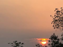 -盐城丹顶鹤湿地生态旅游区