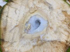 -大岗仙庙烧鸡(海南总店)