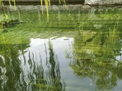 -趵突泉景区