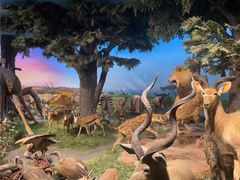 -国家自然博物馆