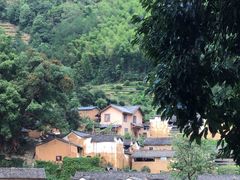 -杨家堂村