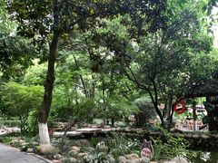 -成都市活水公园
