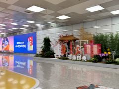 -郑州新郑国际机场-T2航站楼