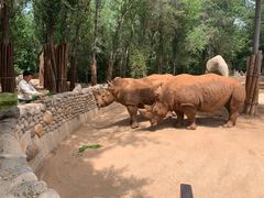 -北京野生动物园