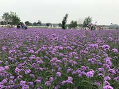 -渔岛海洋度假区