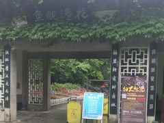 -西湖外事游船(花港观鱼码头)