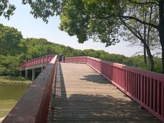 -美兰湖景区