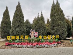 -大兴滨河森林公园