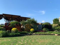 -上海长兴岛郊野公园