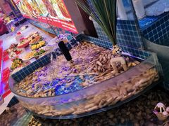 -津沽小院(天津之眼店)