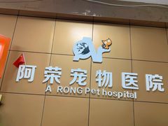 -阿荣24H宠物医院·综合型转诊中心·CT·核磁影像中心