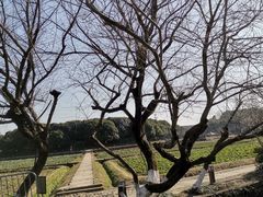 -八卦田遗址公园