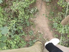 -芦仙山景区-飞越丛林探险乐园