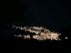 -长田漾湿地公园