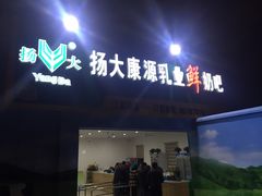 门面-扬大康源乳业鲜奶吧(江都路店)